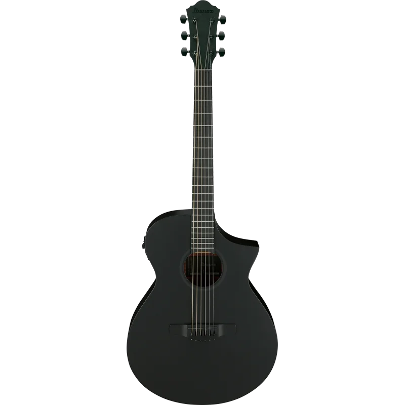 Super Prix IBANEZ AEWC621-BOT