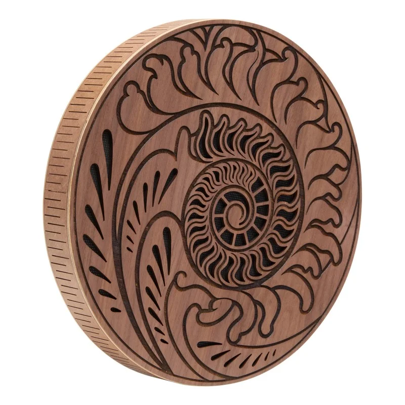 Bon Plan SONIC ENERGY RDO10F RAINMAKER DISQUE 10"
