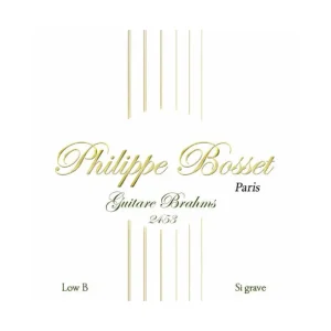 Offre Limitée Philippe Bosset GB2453Jeu de 8 cordes pour guitare Brahms Nylon Clair 24-53 Si grave