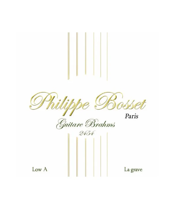 Commander Vite Philippe Bosset GB2454Jeu de 8 cordes pour guitare Brahms Nylon Clair 24-54 La grave