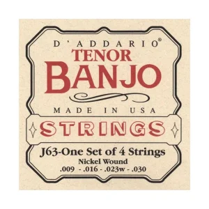 D‘addario EJ63Jeu de cordes pour pour Banjo Tenor 4 Cordes Nickel Marque