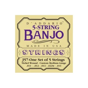 D‘addario EJ57Jeu de cordes pour Banjo 5 Cordes Nickel Custom Medium 11-22 Petit Prix