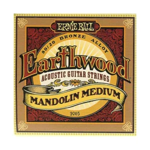 Ernie Ball 2065Jeu de cordes pour Mandoline Earthwood Medium Nouveauté