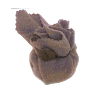 Must-Have Geipel 2100Colophane pour violon et violoncelle transparente