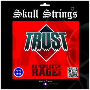 Skull Strings SKUTRNSTD1046Jeu de cordes électriques Trust Nickel 10-46 Expédié Aujourd'hui