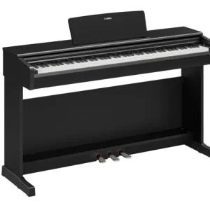 Must-Have Yamaha YDP-146 B