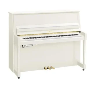 Jusqu'à Épuisement Des Stocks Yamaha B30 PWH TransAcoustic