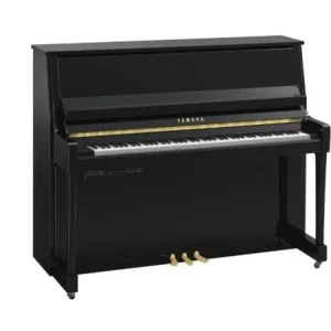 Offre Du Jour Yamaha B30 PE TransAcoustic