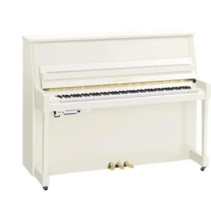 Prix Cassé Yamaha B20 PWH TransAcoustic