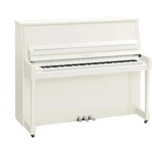 Must-Have Yamaha B30 PWHC - chrome