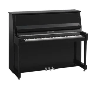 Expédition Rapide Yamaha B30 PEC - chrome