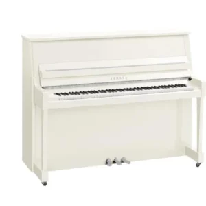 Meilleure Vente Yamaha B20 PWHC - chrome