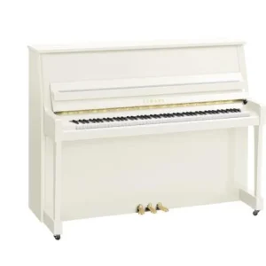 Yamaha B20 PWH Must-Have