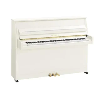 Yamaha B10 PWH Prix Bas