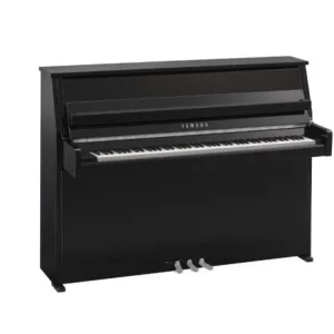 Meilleure Vente Yamaha B10 PEC