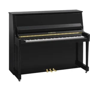 Yamaha B30 PE Bon Marché