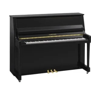 Yamaha B20 PE Offre Spéciale