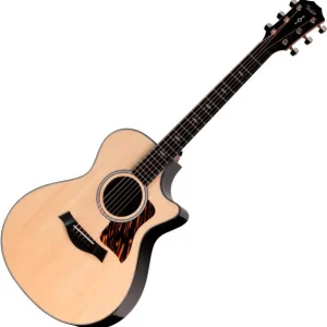 Remise Taylor Next Generation 412ce - natural