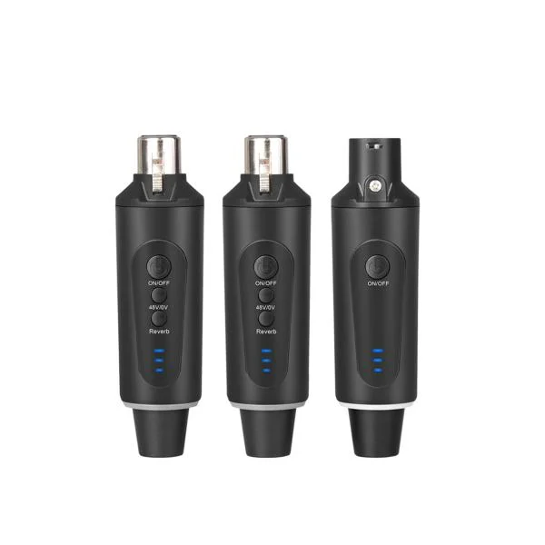 Seulement Aujourd'hui Definitive audio PLUG 210R 2.4G