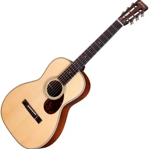 Meilleur Choix Eastman E20P Thermo-Cure - truetone gloss natural