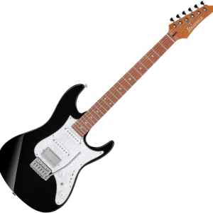 Commande En Gros Ibanez Standard AZ22S2 BK - black