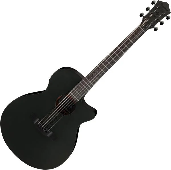 Acheter Direct Ibanez AEG621 BOT - black out