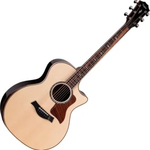 Prix Cassé Taylor Next Generation 814ce - natural