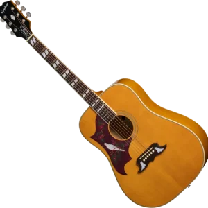 Epiphone IBG Dove Studio LH - natural Retour Gratuit