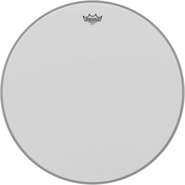 Commander Maintenant Remo BR-1124-00 AMBASSADOR - 24 pouces