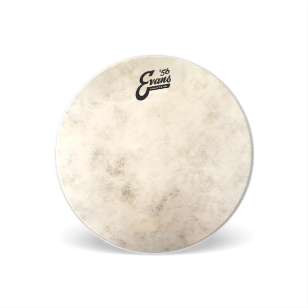 Must-Have Evans TT12C7 Calftone Snare Batter - 12 pouces