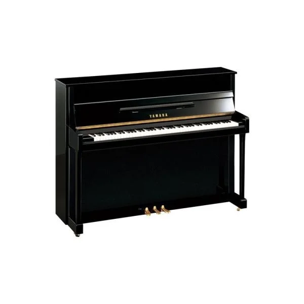 Yamaha B2e TC3 PE Transacoustic Expédition Rapide