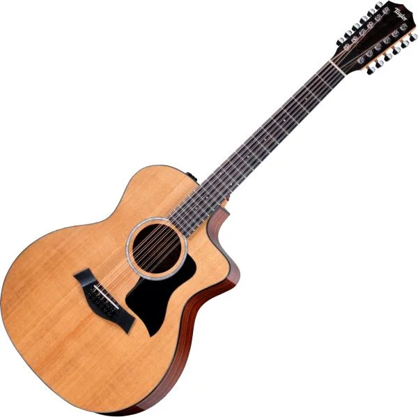 Top Vente Taylor 254ce Plus 12-String - natural