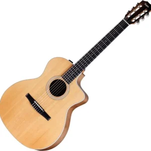 Achat Immédiat Taylor 214ce-N - natural