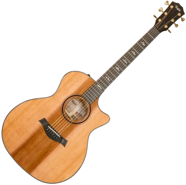 Offre Limitée Taylor Custom Shop GA-E Grand Auditorium 1211163099 - natural