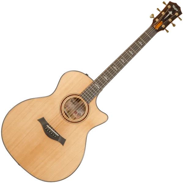 Nouveauté Taylor Custom Shop GA-E Grand Auditorium 1211103096 - natural