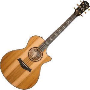 Affaire À Saisir Taylor Custom Shop GC-E Grand Concert 1211143037 - natural