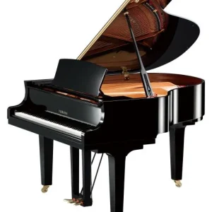 Certifié Yamaha C1X PE