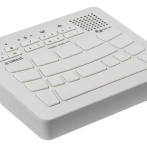 Yamaha FGDP-30 Vente Directe