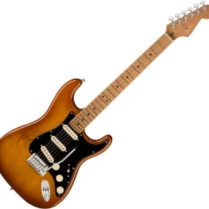 Fender American Ultra Stratocaster Ltd (USA, MN) - honey burst Usine Directe