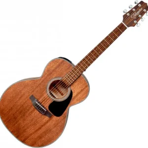 Promotion Saisonnière Takamine GLN11E NS - natural satin