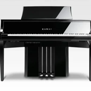Super Prix Kawai NV 10 S