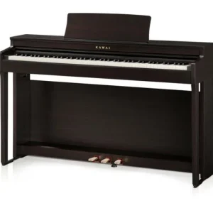 Authentique Kawai CN-201 R