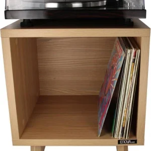 Nouvel Arrivage Enova hifi VINYLE LOVER CUBE SWE