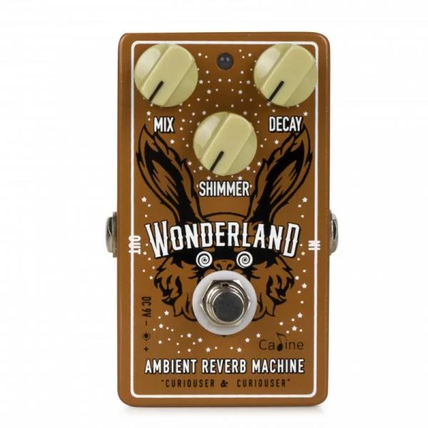 Caline CP508 Wonderland Reverb Usine Directe