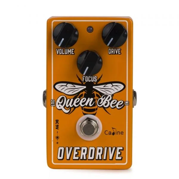 Haute Qualité Caline CP503 Queen Bee Overdrive
