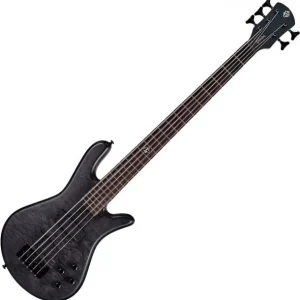 Meilleur Choix Spector NS Pulse II 5 - black stain matte