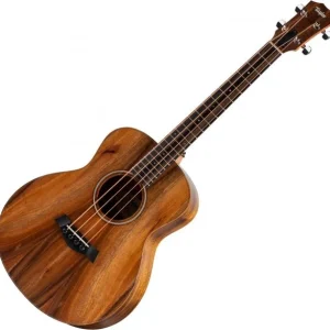 Expédié Aujourd'hui Taylor GS Mini-e Koa Bass - natural