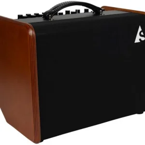 Godin Acoustic Solutions ASG-8 120 - Wood Dernière Chance