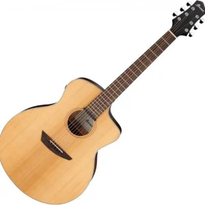 Top Vente Ibanez PA230E NSL - natural satin top