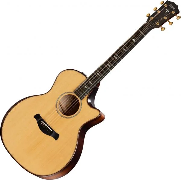 Offre Exclusive Taylor 614CE Builder‘s Edition V-Class - natural top & wild honey burst